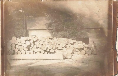 Big Trees Cut Down Logs Logging Scene c1910 Real Photo RPPC