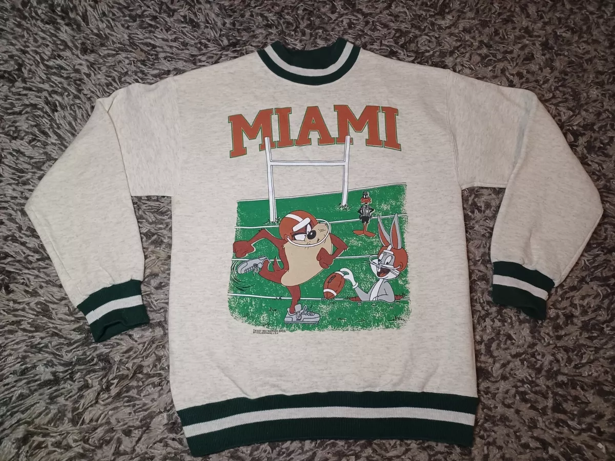 Vintage college hotsell sweatshirts ebay