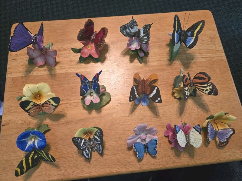 Lot Of 13 Franklin Mint Butterflies Of The World Series Butterflies 1985-87