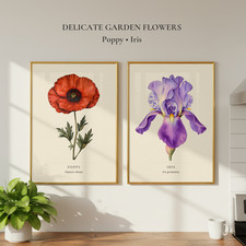 Poppy & Iris Botanical Prints Set of 2 Vintage Floral Wall Art