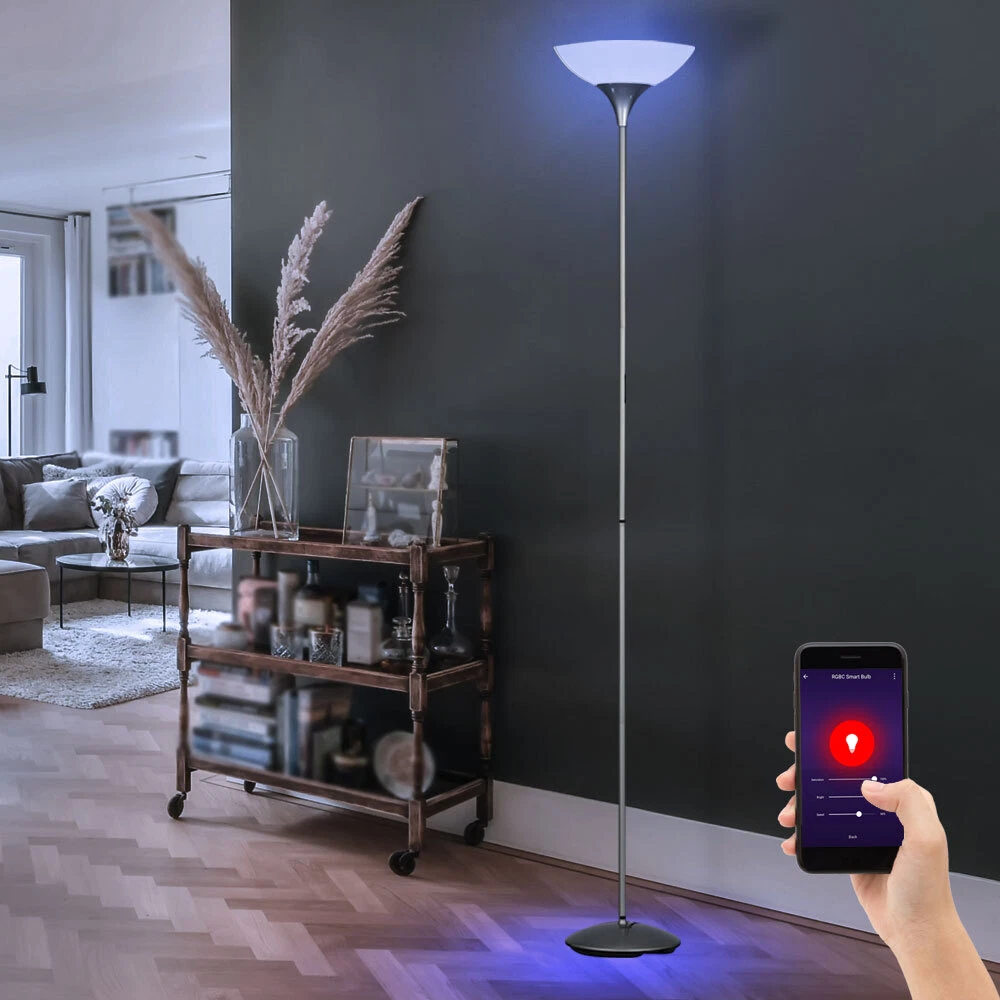 Reality Leuchten R52651106 Lampada Da Tavolo A LED Cane - Cromata E Acrilico - 3,2W RGB Cambio Colore - 3000K - 2