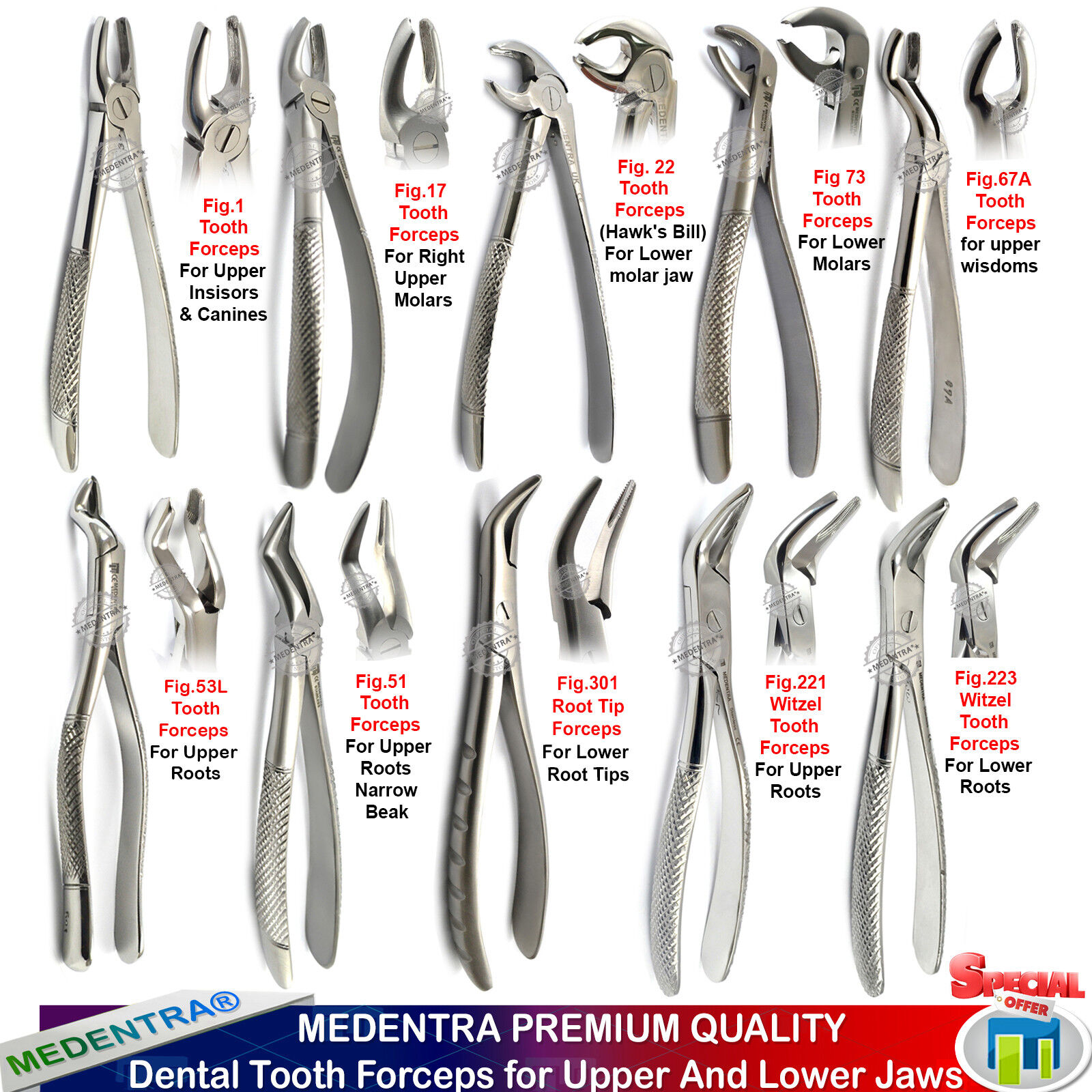 Dental Forceps Types