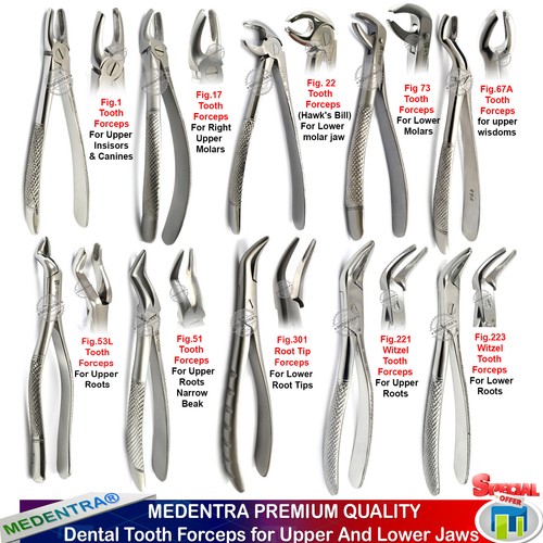 Dental Tooth Forceps Surgical Extraction Forcep for Upper Lower Molars