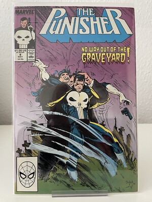 The Punisher #8 Regular Serie Comic Heft US Top Zustand bagged and Boarded