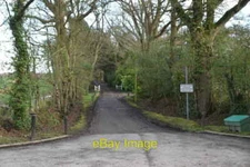 Photo 6x4 Road to Alderden Manor Field Green  c2020