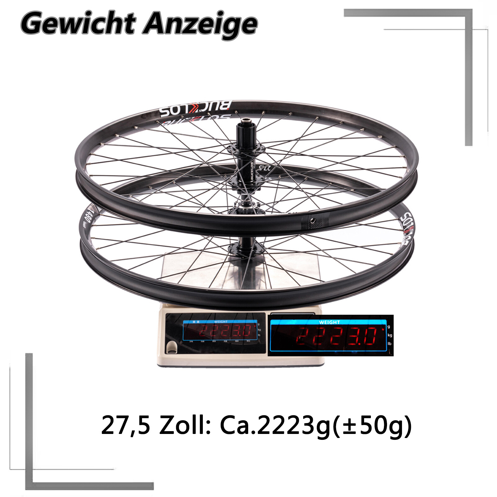 Bild 13 von 16
