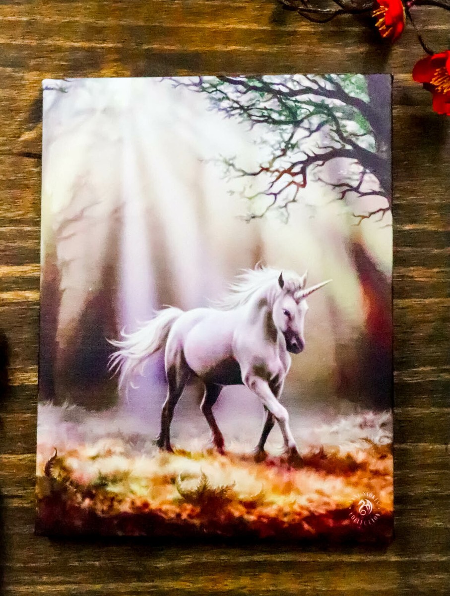 Anne Stokes ユニコーンアート Moonlight Unicorn by Anne Stokes, Diamond Art Kit – FairyPuzzled