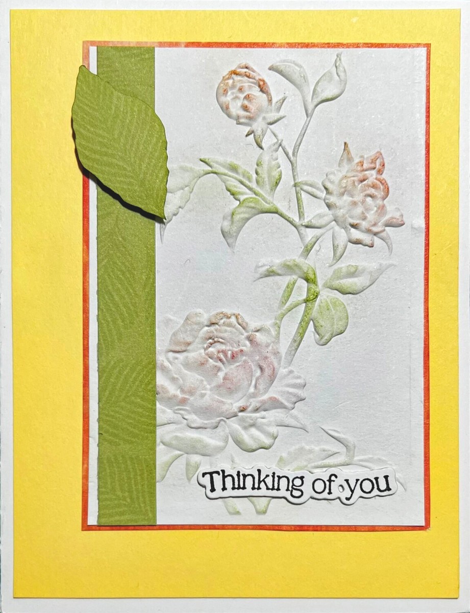 その他 Rose o7r6kf1 Climbing Roses – Page 2 – SpringlandFlowers