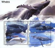 WHALES / Whale Mammals Sea Marine Life MNH 4v-Stamp Sheet #42 2023 Sierra Leone