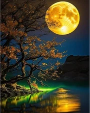 Ausanrl Moon Paint by Numbers Kits for Adults-Moon 16x20inch, 