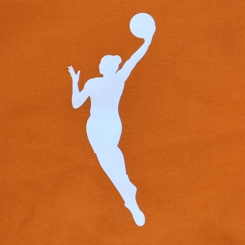 Nike WNBA Orange Sweatshirt Hoodie Kids M Athletic - Picture 3 of 5