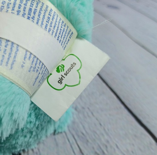 Build A Bear Girl Scouts Thin Mints 17" EUC 2018 Limited Edition with Dress - Picture 9 of 17