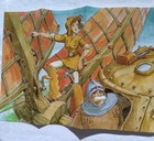 Bild 8 von 24