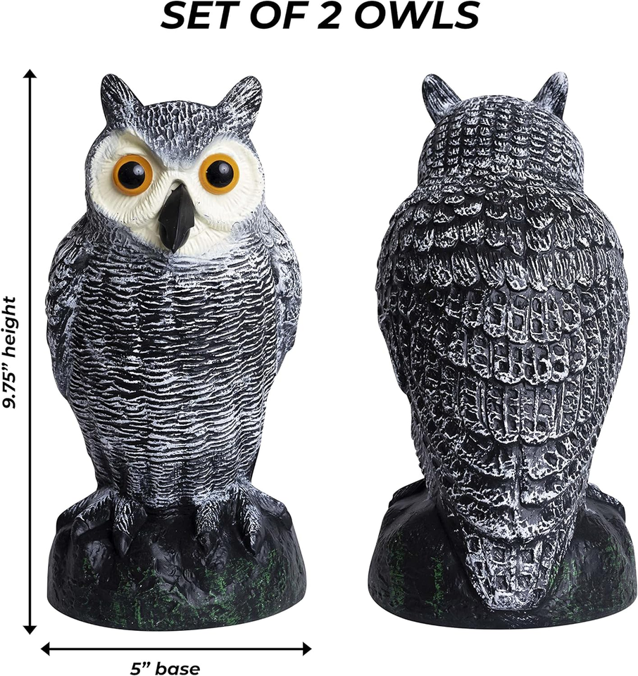 Owl Decoys to Scare Birds Away Plastic Owls to Scare Birds Away Owl