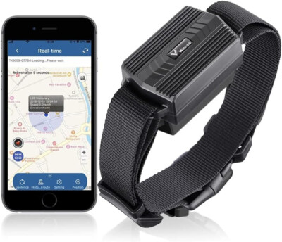 GPS-Tracker Katzen Hunde Halsband Wasserdicht ohne ABO mit kostenloser App  X73 | eBay.de