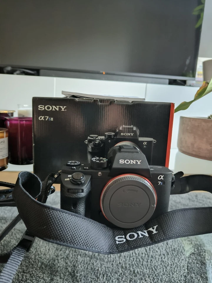 Sony Alpha 7S, foto 1 di 5