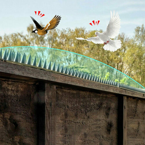 15m Bird Spikes For Pigeon Deterrent Decoys Wall Fence Cat Humane Anti Climb - Picture 9 of 16