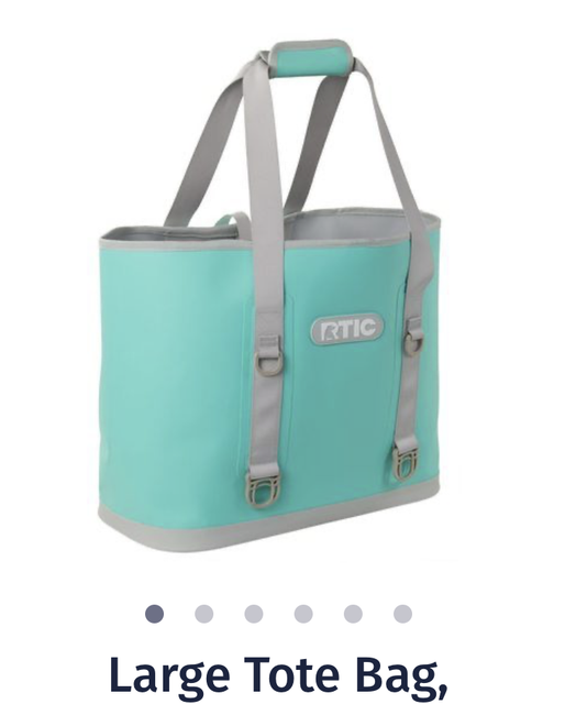 Genunie RTIC Large Tote Bag, Seafoam Green 1048. NEW IN BOX eBay