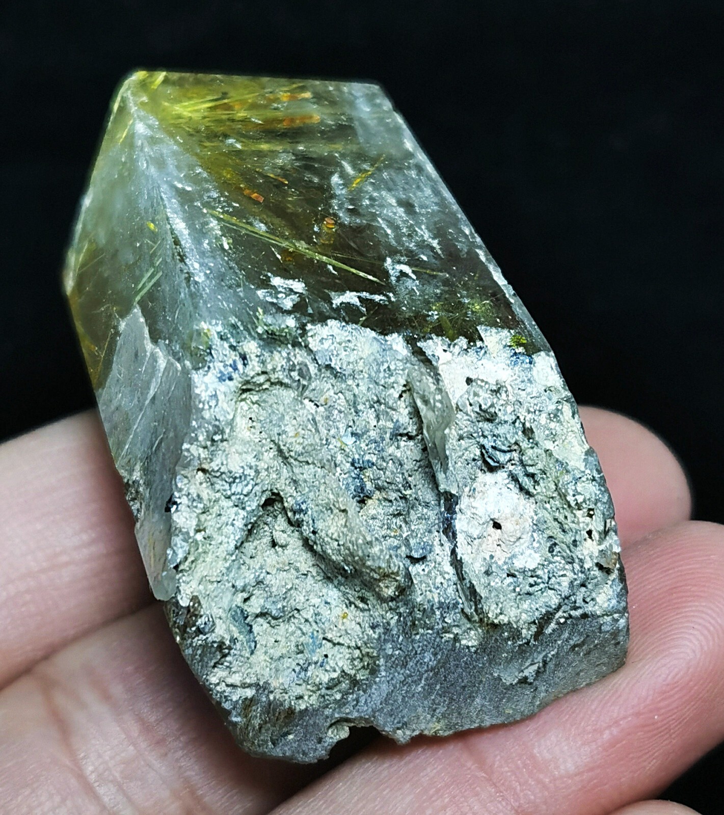 Foto 11 di 11