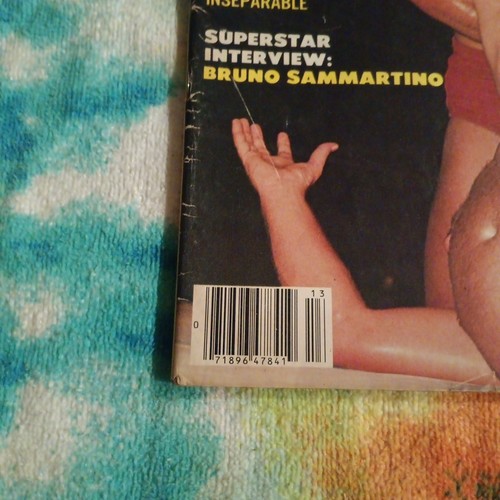  1981 WRESTLING SUPERSTARS MAGAZINE FALL COVER RICK STEAMBOAT/ FREEBIRDS/ FLAIR - Picture 2 of 24