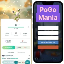 Shiny Spinda✨Pattern #2✨mini PTC 20k✨(read description)