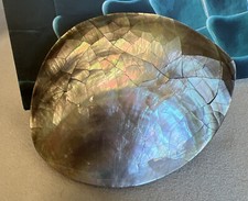 Abalone Seashell Belt Buckle Oval Large Sandy Design