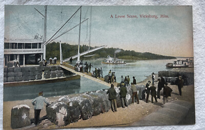  Very Rare  1908 A Levee Scene, Vicksburg, Miss.