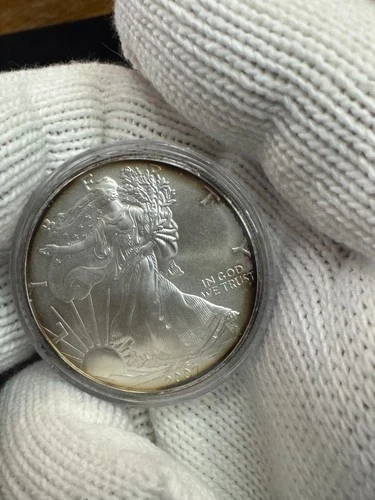 2007 American Silver Eagle $1 Coin –1 oz .999 Fine Silver –In Protective Capsule