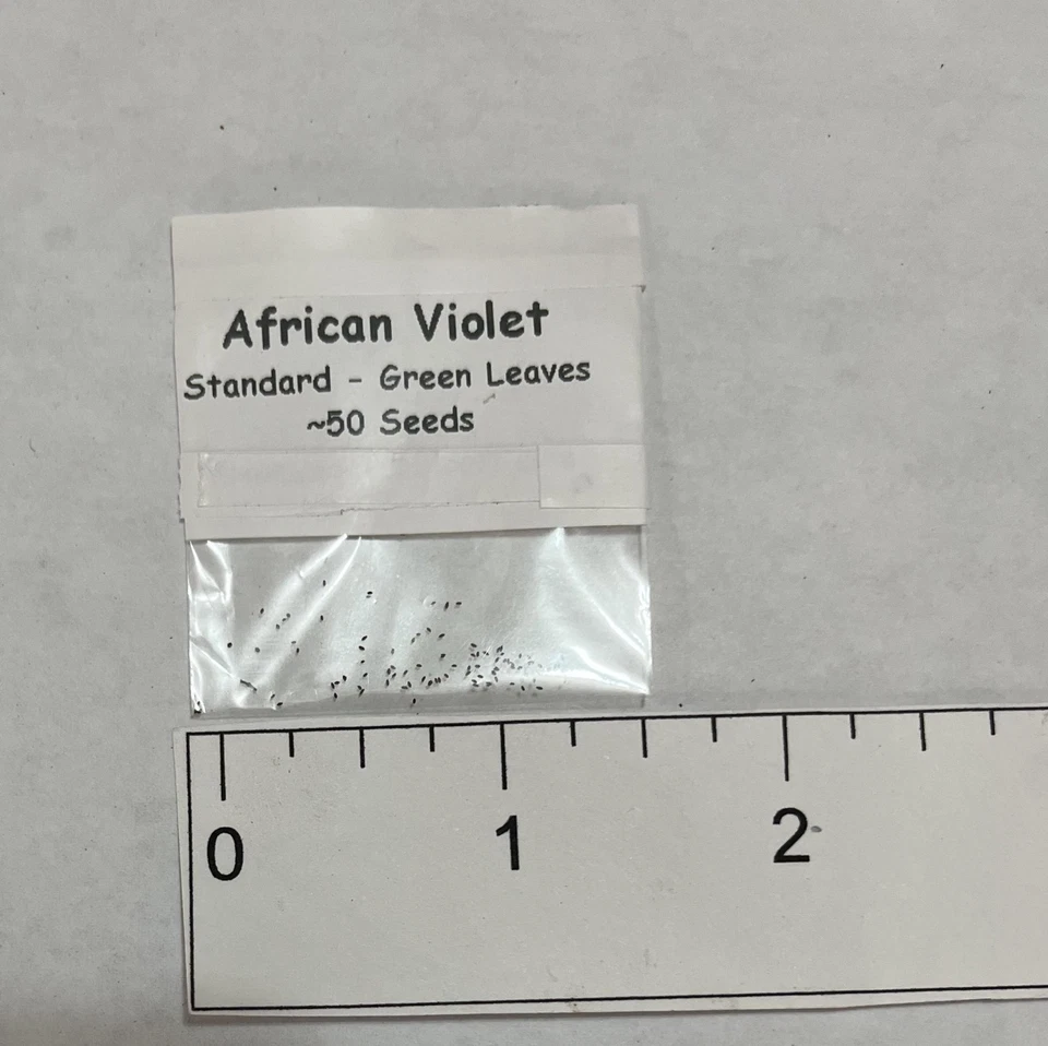 Semillas Violeta Africana 50 Plus - Colores Mezclados - Hojas Verdes - Saintipaulia Genuina Foto 2 de 4