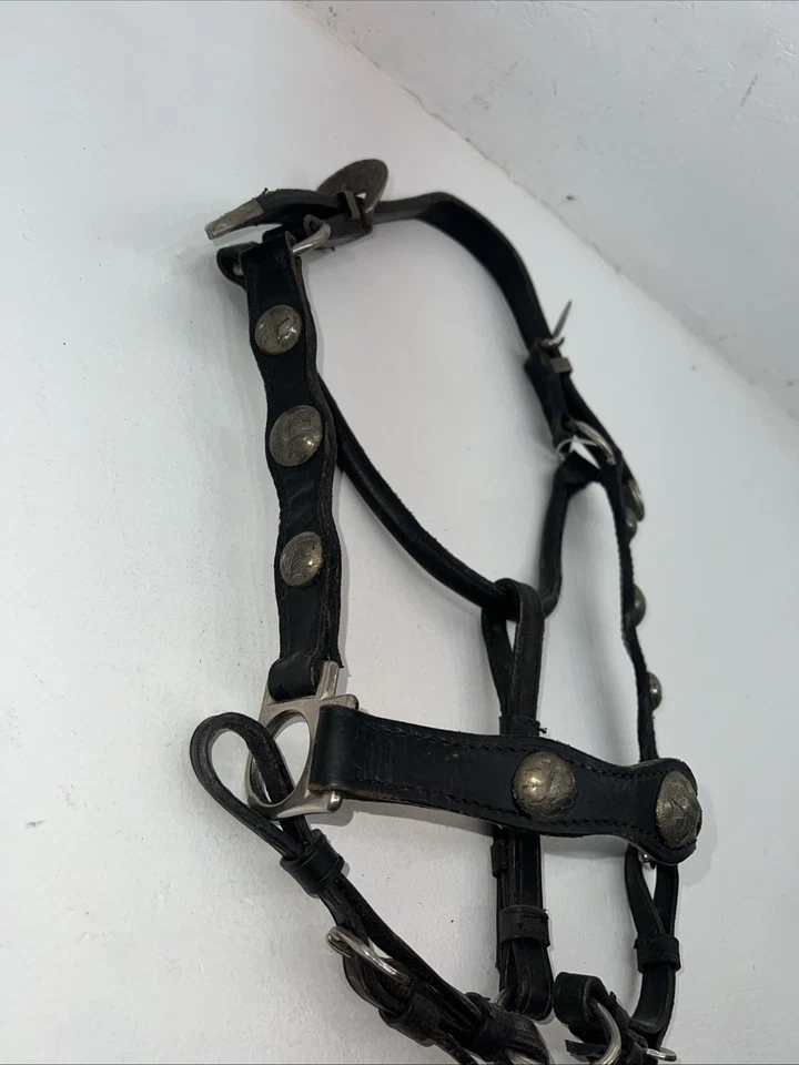 New Black Leather Full Horse Show Halter Gold accents 3C-15 - Image 2 of 4