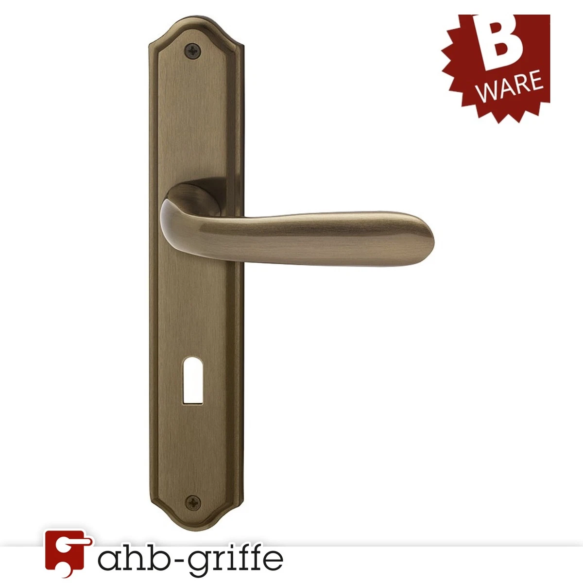 Süd-Metall 32410270 Südmetall Türbeschlag Rica-Langschild Komplett