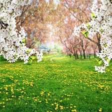 7x7ft Spring Scenic Backdrop Sweet Flowers Photography Background Meadow Flor...