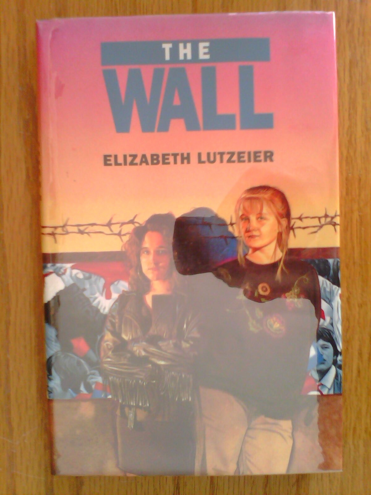 SIGNED The Wall by Elizabeth Lutzeier 1st Edn hb children's fiction