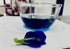 100 Natural wind dried organic blue butterfly pea flowers for teas  drinks 28g