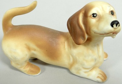 cream weiner dog