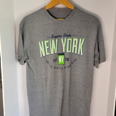 Empire State New York Graphic T-Shirt Mens Gray Green Short Sleeve Crewneck