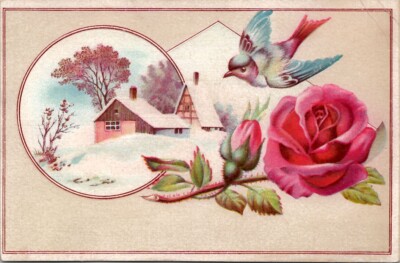 Lovely Colorful Bird Houe Vintage Postcard Spc15