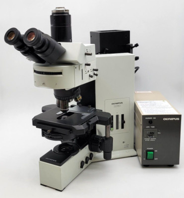 Olympus Microscope BX60 with Fluorescence, Phase Contrast, & Fluorite Objectives