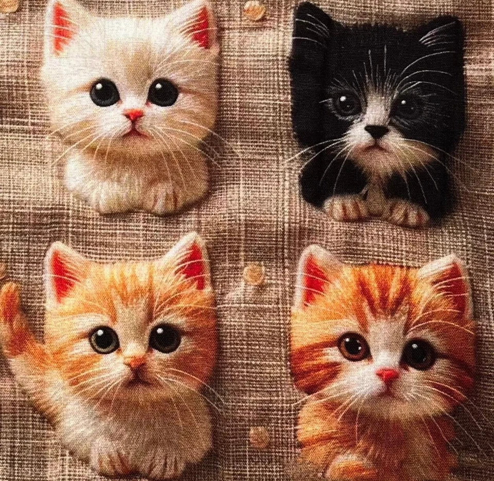 Stoff Baumwollstoff Meterware 50cm Bunte Süße Kätzchen Lustige Katzen 3D-Effekt - Bild 3 von 4