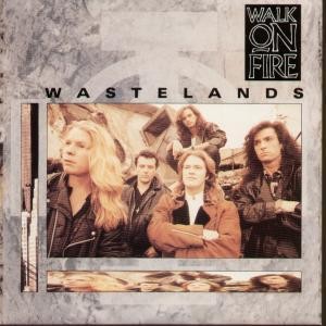 Walk On Fire Wastelands 7"" vinyl UK MCA 1991 pic sleeve MCS1507