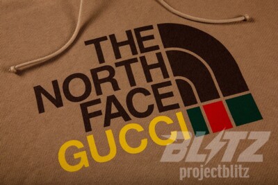 2021 GUCCI X THE NORTH FACE COTTON HOODED SWEATSHIRT BROWN TNF