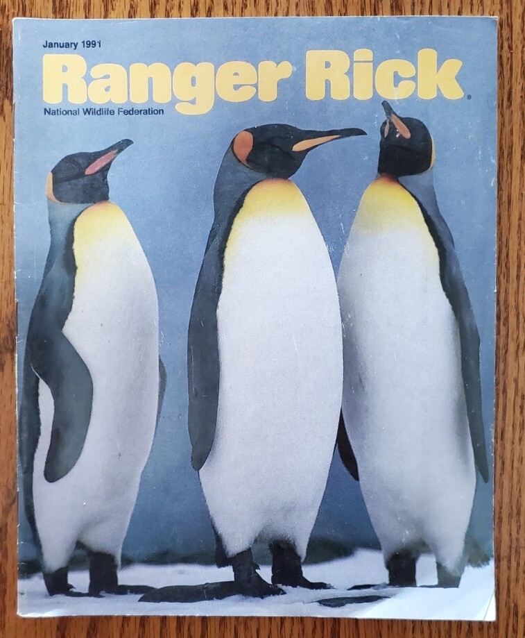 Ranger Rick Magazine Example Lot of 12 Vintage Ranger Rick Magazines 89,90,91 National Wildlife ...
