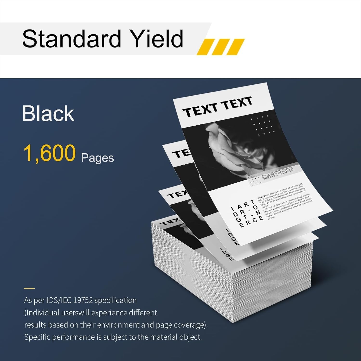 Slide 6