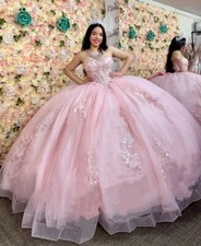 Pink Quinceanera Dresses XV Sweet 15 16 Birthday Dance Princess Party Ball Gowns