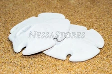 White Real Arrowhead Sand Dollar Sea Shell Craft Weddings 3"- 4"(2 pcs)#JC-059