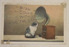  on The Hot Collector