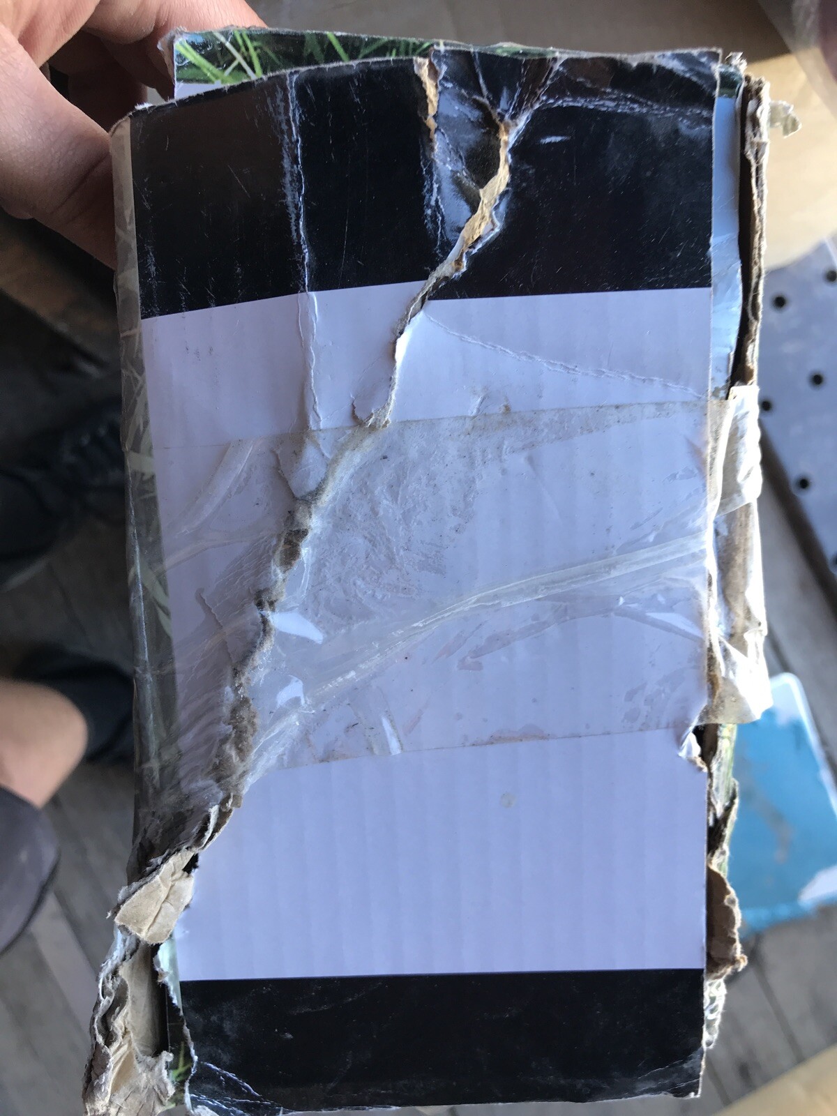 BLACK+DECKER String Trimmer / Edger, 13Inch, 5Amp (ST8600) eBay