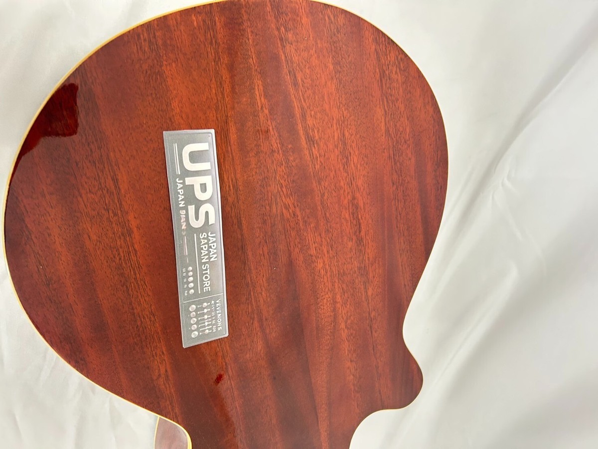 良音/Pro Martin EA500W VS アコースティックギター Pro Martin Acoustic-Electric Guitar Ea500W Vs Used From