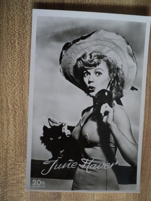 actress JUNE HAVER w/ Black Cat vintage 20th Century Fox RPPC Postcard