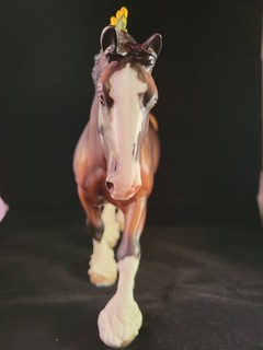 Breyer Premier Club Shannondell Model Horse W/COA